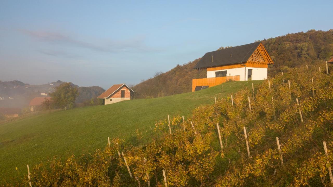 Villa Strtenica In The Vineyard Pristava pri Mestinju Экстерьер фото