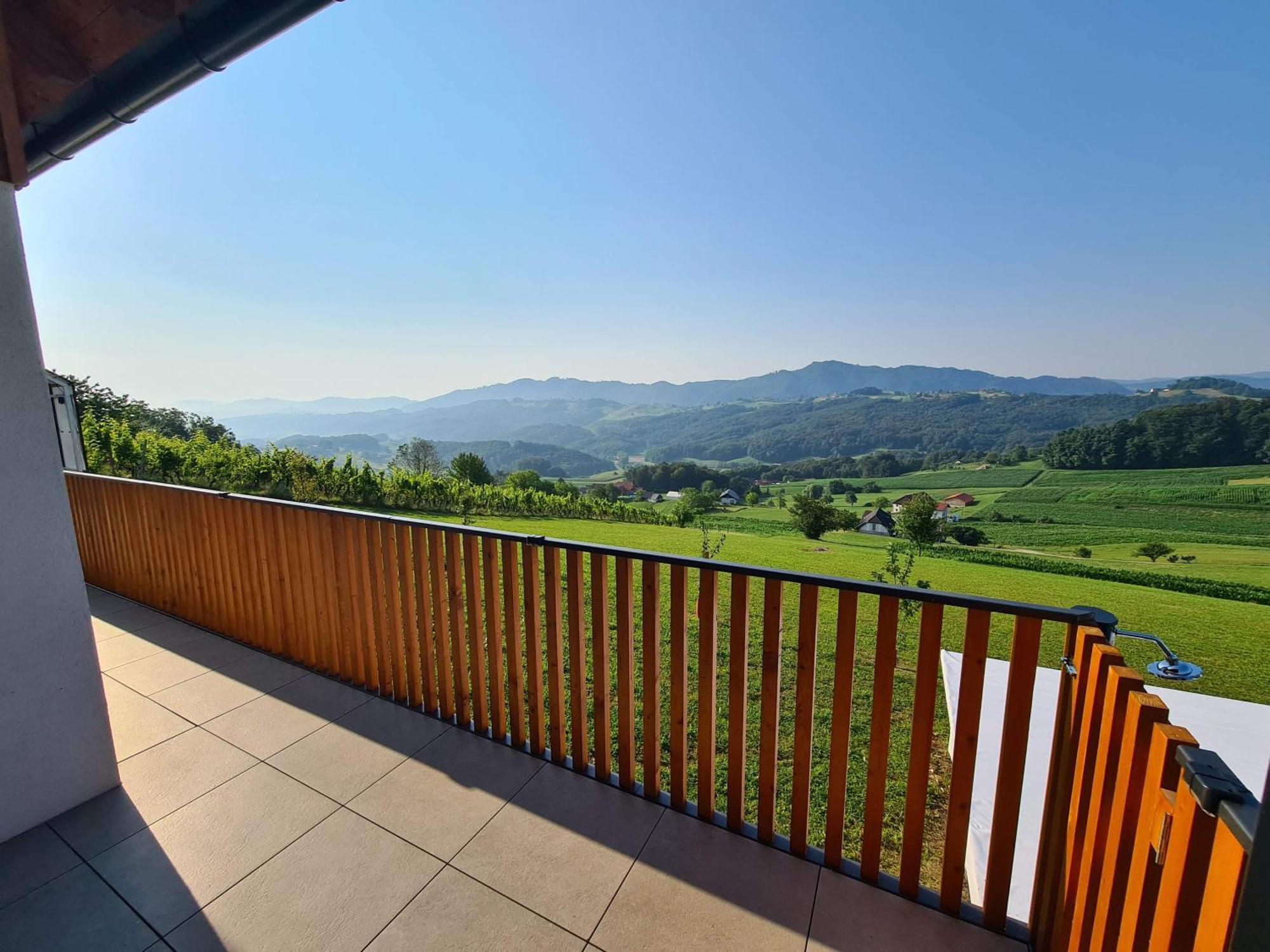 Villa Strtenica In The Vineyard Pristava pri Mestinju Экстерьер фото